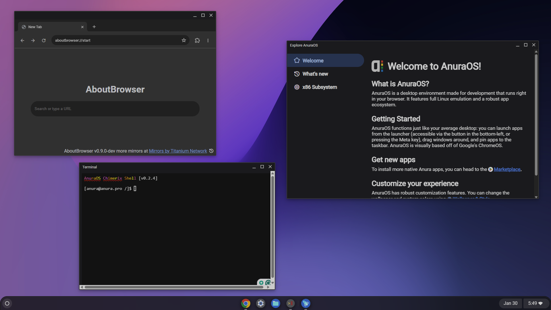 AnuraOS